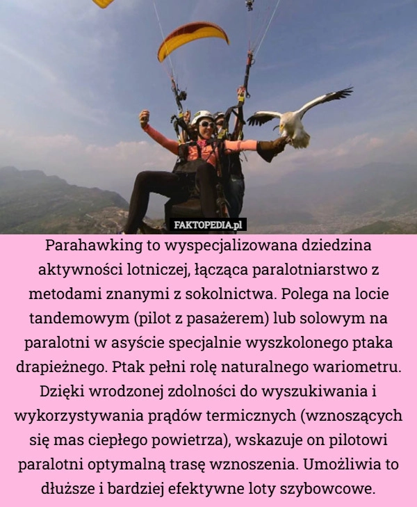 
    Parahawking to wyspecjalizowana dziedzina aktywności lotniczej, łącząca