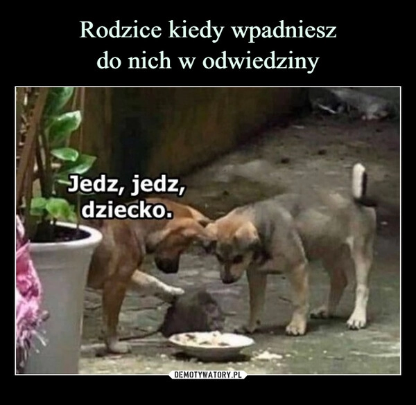 
    Rodzice kiedy wpadniesz
do nich w odwiedziny