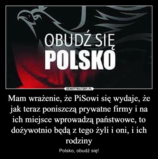 
    
Mam wrażenie, że PiSowi się wydaje, że jak teraz poniszczą prywatne firmy i na ich miejsce wprowadzą państwowe, to dożywotnio będą z tego żyli i oni, i ich rodziny 