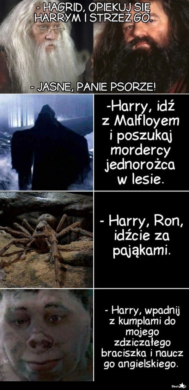 
    Opieka nad Harrym 