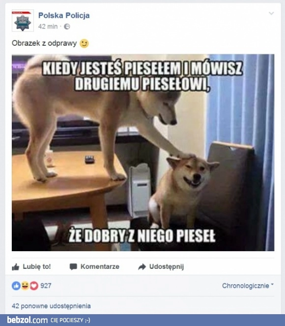 
    Polska Policja to niezłe śmieszki