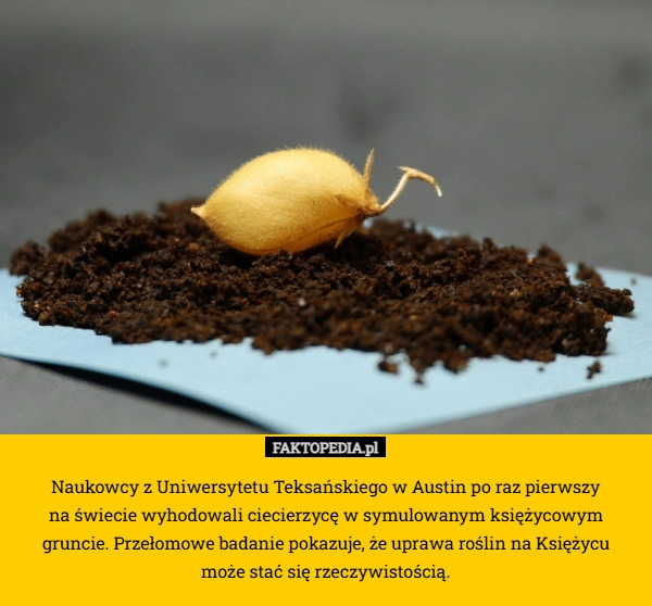 
    Naukowcy z Uniwersytetu Teksańskiego w Austin po raz pierwszy
 na świecie