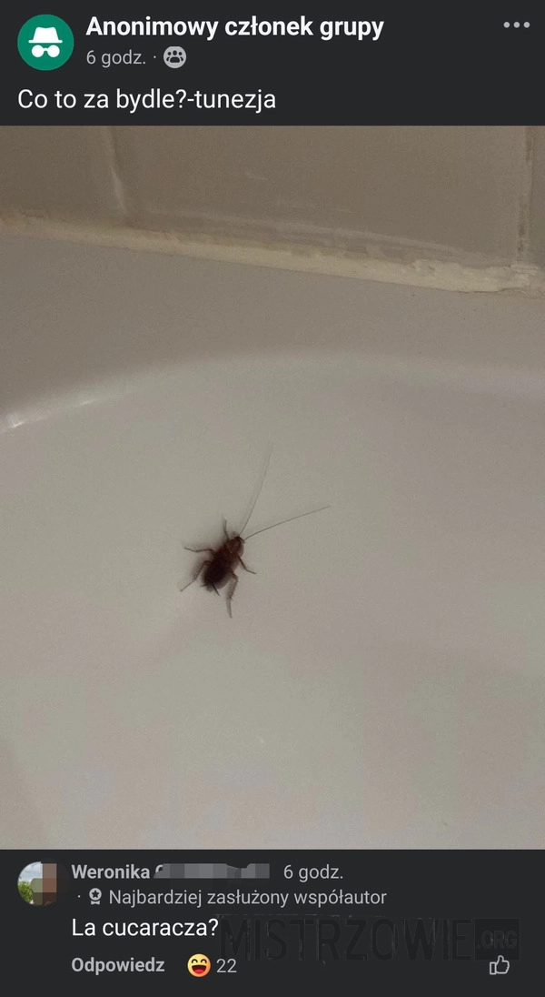
    La cucaracha