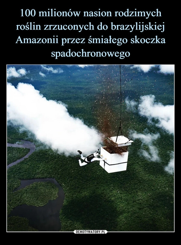 
    100 milionów nasion rodzimych roślin zrzuconych do brazylijskiej Amazonii przez śmiałego skoczka spadochronowego