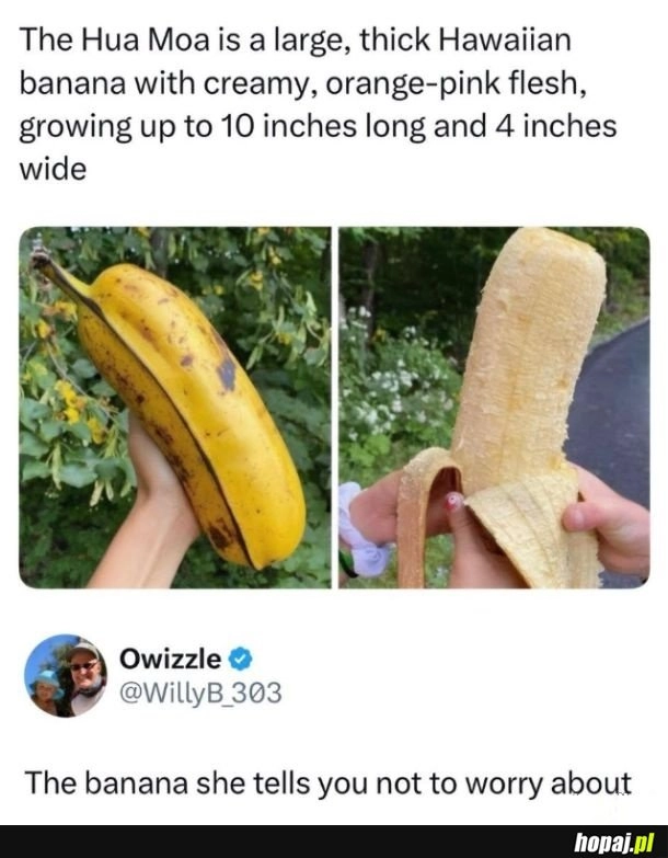 
    Potężny banan