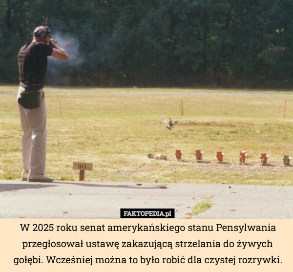 
    W 2025 roku senat amerykańskiego stanu Pensylwania przegłosował ustawę zakazującą