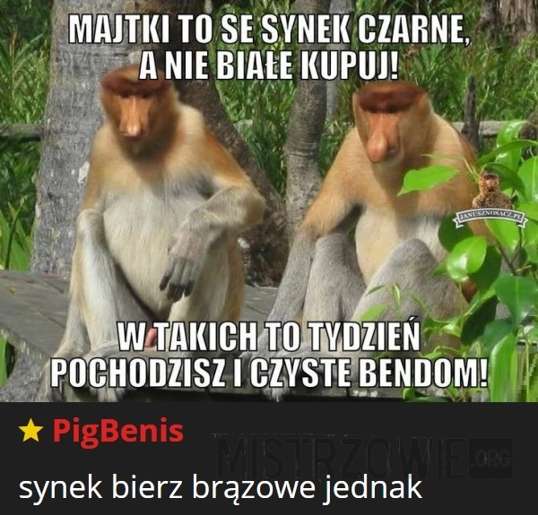 
    Majtki