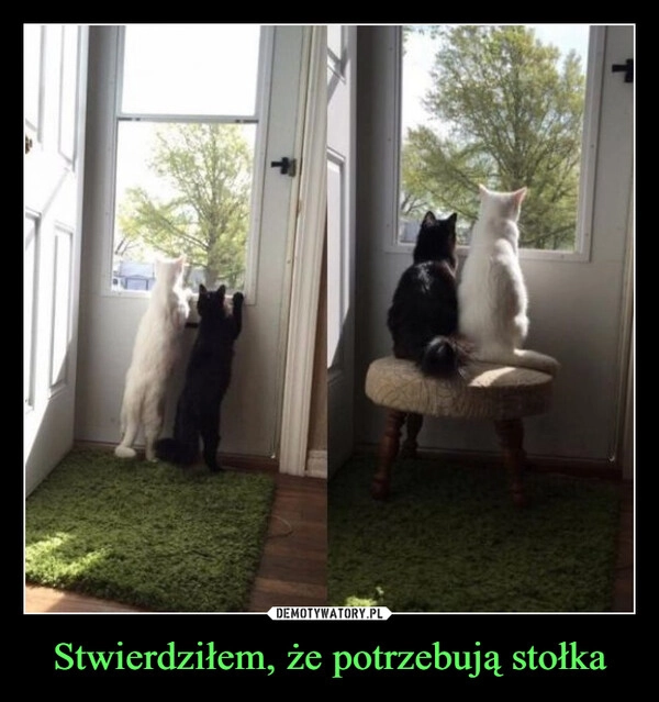 
    Stwierdziłem, że potrzebują stołka