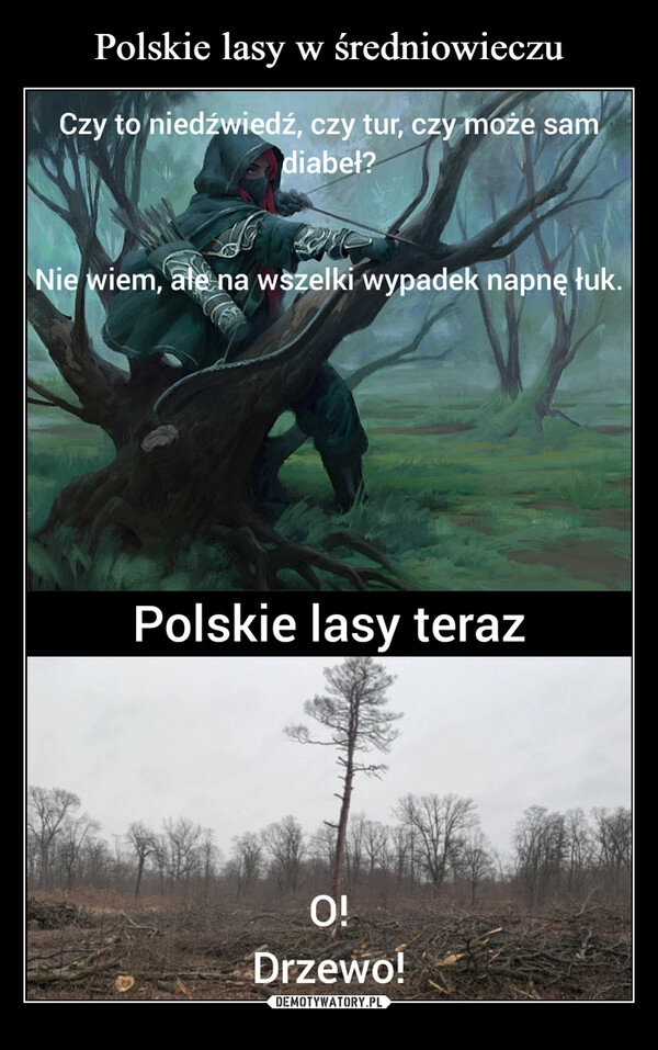 
    Polskie lasy w średniowieczu