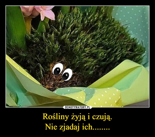 
    Rośliny żyją i czują.
Nie zjadaj ich........