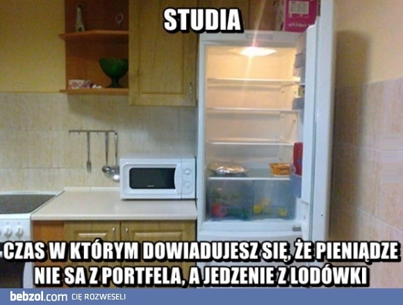 
    Studia