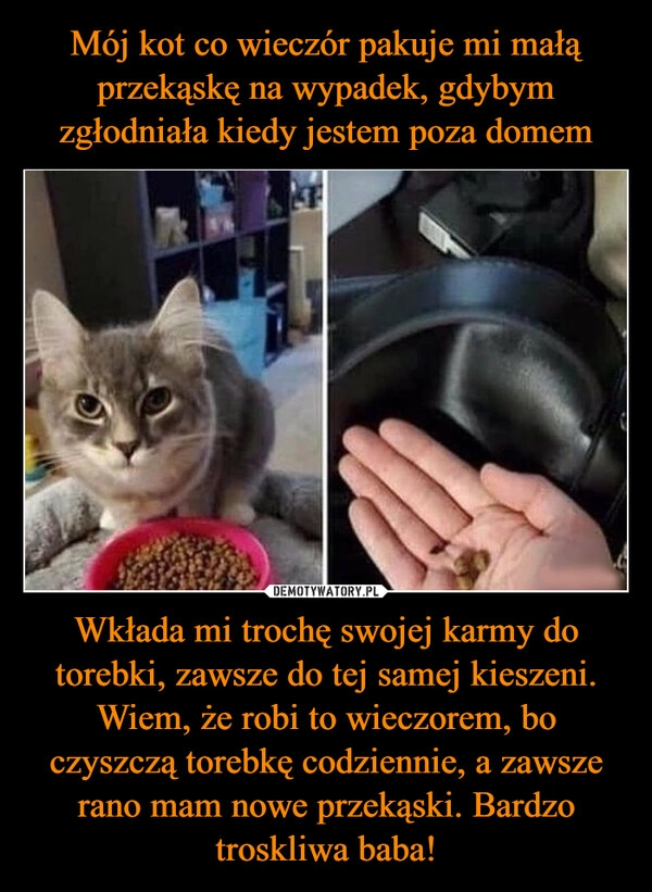 
    Mój kot co wieczór pakuje mi małą przekąskę na wypadek, gdybym zgłodniała kiedy jestem poza domem Wkłada mi trochę swojej karmy do torebki, zawsze do tej samej kieszeni. Wiem, że robi to wieczorem, bo czyszczą torebkę codziennie, a zawsze rano mam nowe przekąski. Bardzo troskliwa baba!