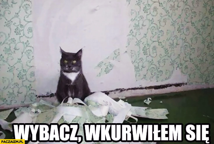 
    Wybacz wkurwiłem się kot zerwał tapetę ze ściany