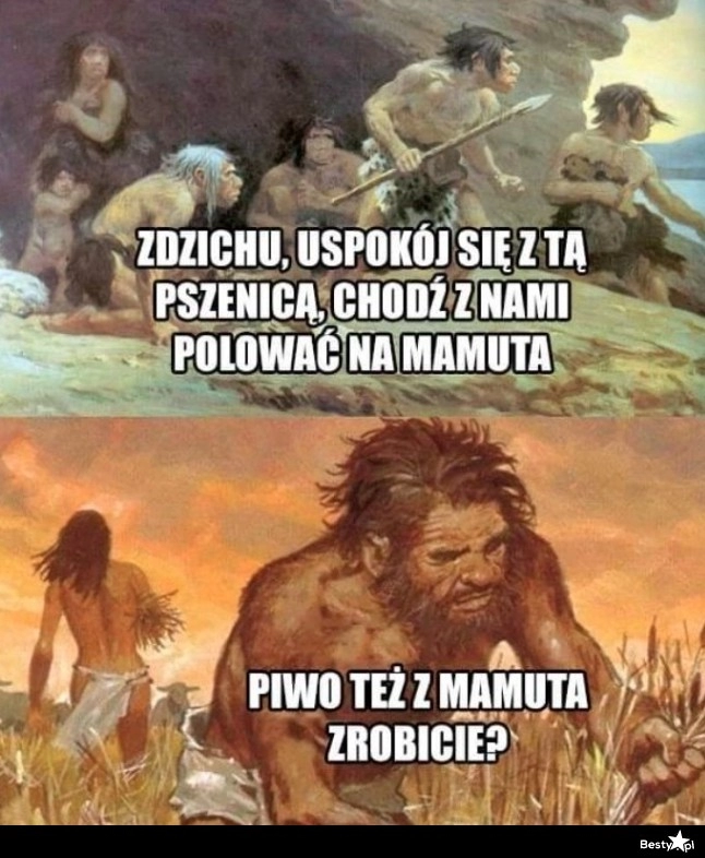 
    Pszenica też jest ważna 