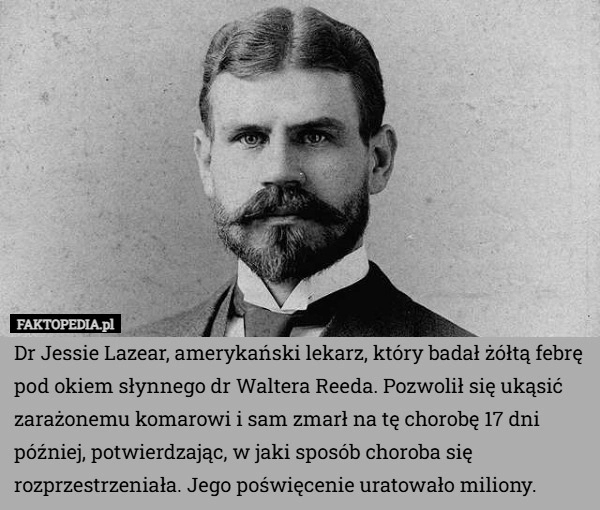 
    Dr Jessie Lazear, amerykański lekarz, który badał żółtą febrę pod okiem