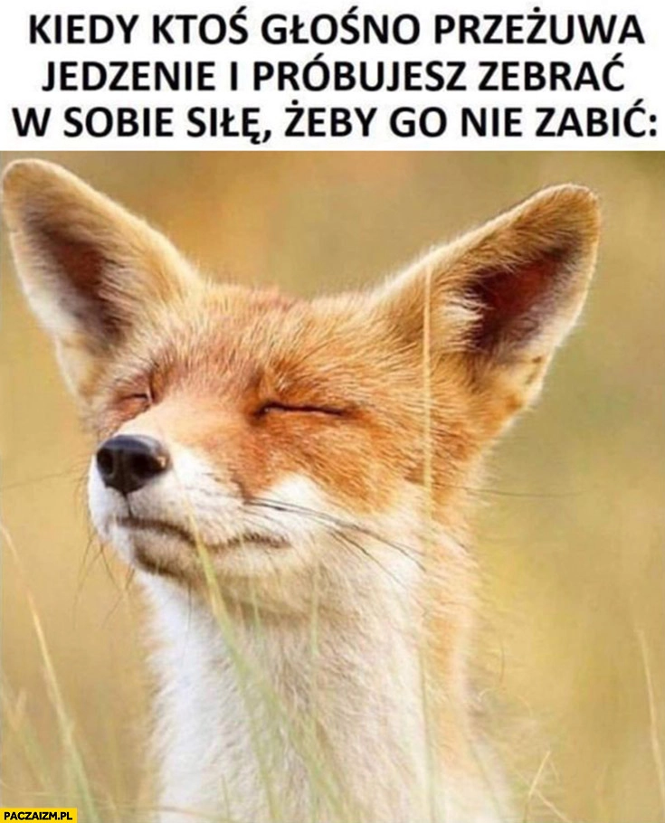 
    Kiedy ktoś głośno przezywa jedzenie i próbujesz zebrać w sobie siłę żeby go nie zabić