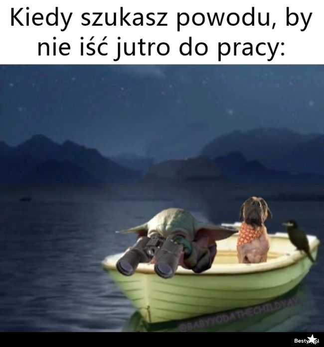 
    W poszukiwaniu powodu 