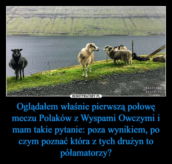 
    Oglądałem właśnie pierwszą połowę meczu Polaków z Wyspami Owczymi i mam takie pytanie: poza wynikiem, po czym poznać która z tych drużyn to półamatorzy?