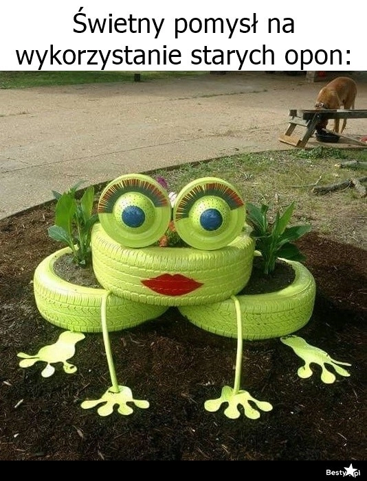 
    Pomysł na wykorzystanie starych opon 