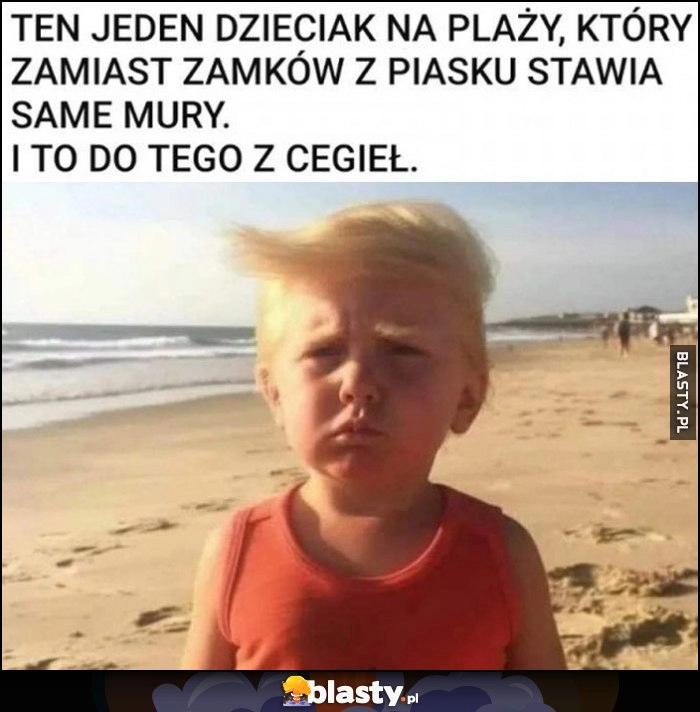 
    Ten jeden dzieciak na plaży, który zamiast zamków z piasku stawia same mury i do tego z cegieł Donald Trump