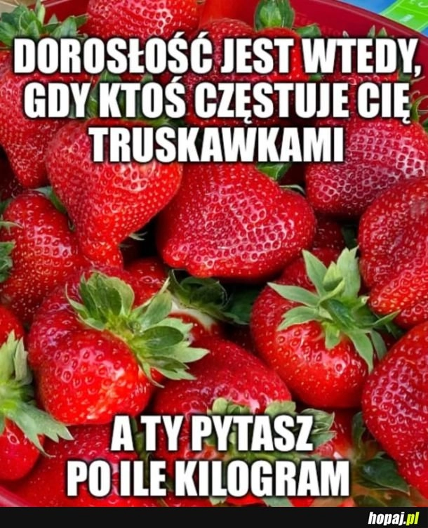 
    Dorosłość