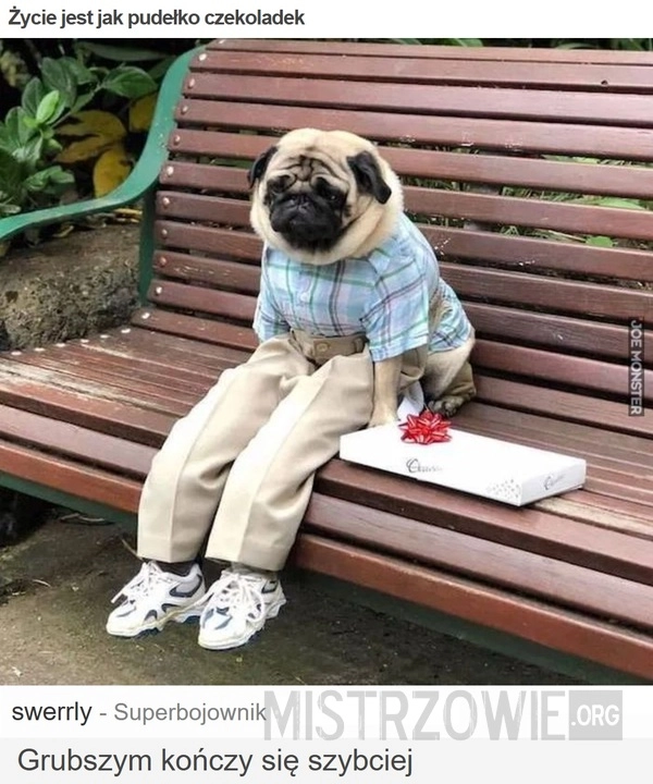 Życie jest jak pudełko czekoladek