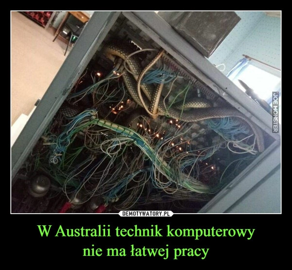 
    W Australii technik komputerowy
nie ma łatwej pracy