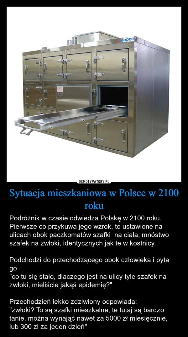 
    Sytuacja mieszkaniowa w Polsce w 2100 roku