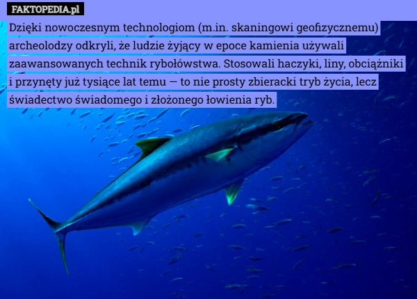 
    Dzięki nowoczesnym technologiom (m.in. skaningowi geofizycznemu) archeolodzy