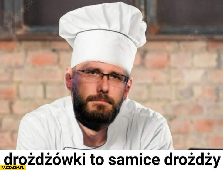 
    Fogiel drożdżówki to samice drożdży