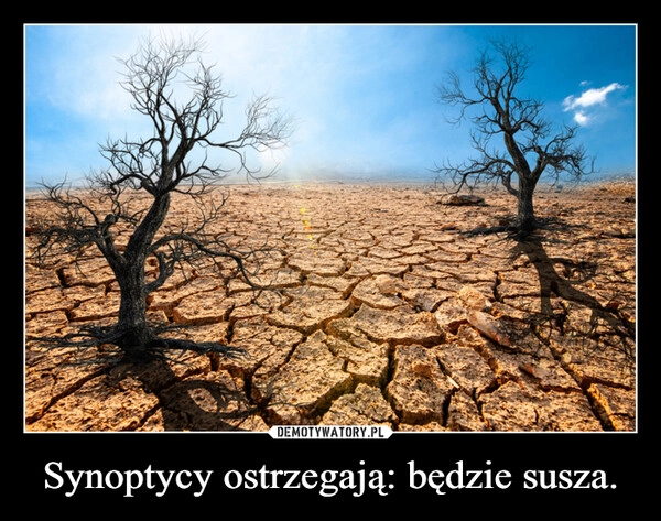 
    Synoptycy ostrzegają: będzie susza.