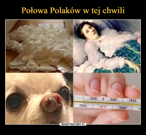 
    Połowa Polaków w tej chwili 