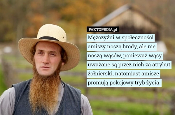 
    Mężczyźni w społeczności amiszy noszą brody, ale nie noszą wąsów, ponieważ