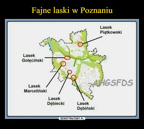 
    Fajne laski w Poznaniu