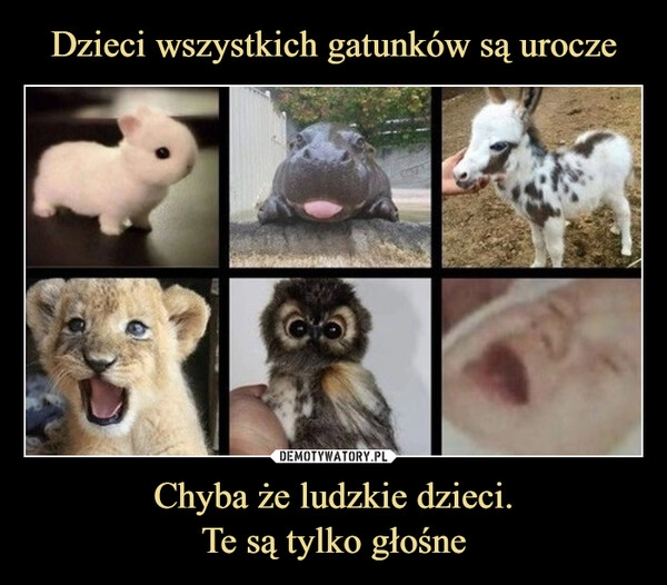 
    Dzieci wszystkich gatunków są urocze Chyba że ludzkie dzieci.
Te są tylko głośne