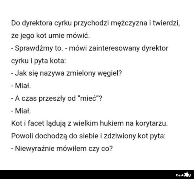 
    Mówiący kot 