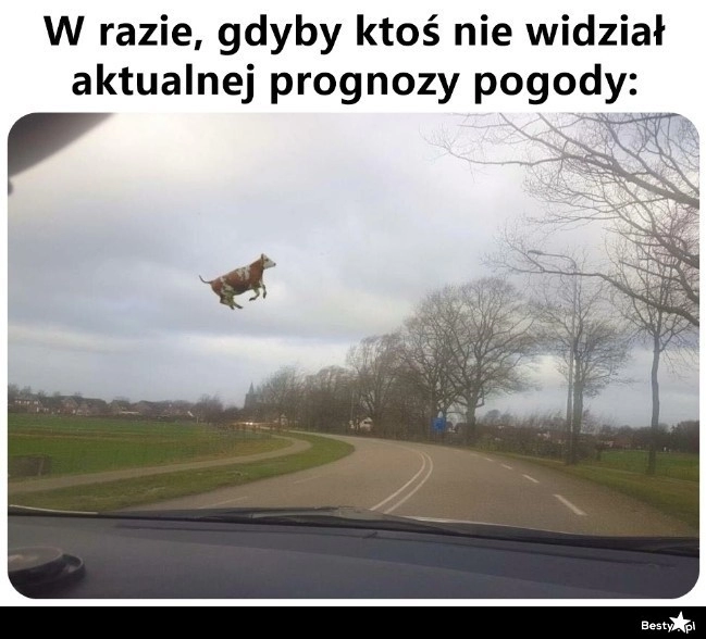 
    Przewidywane silne porywy wiatru 