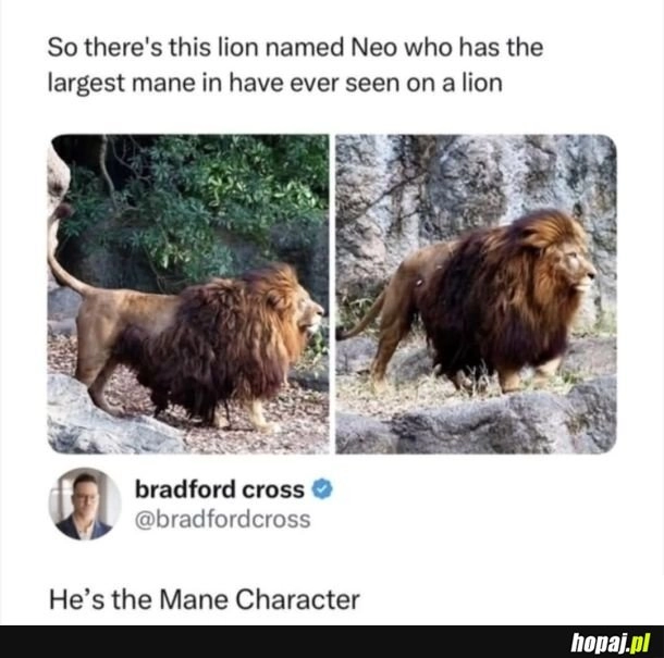 
    Mane character