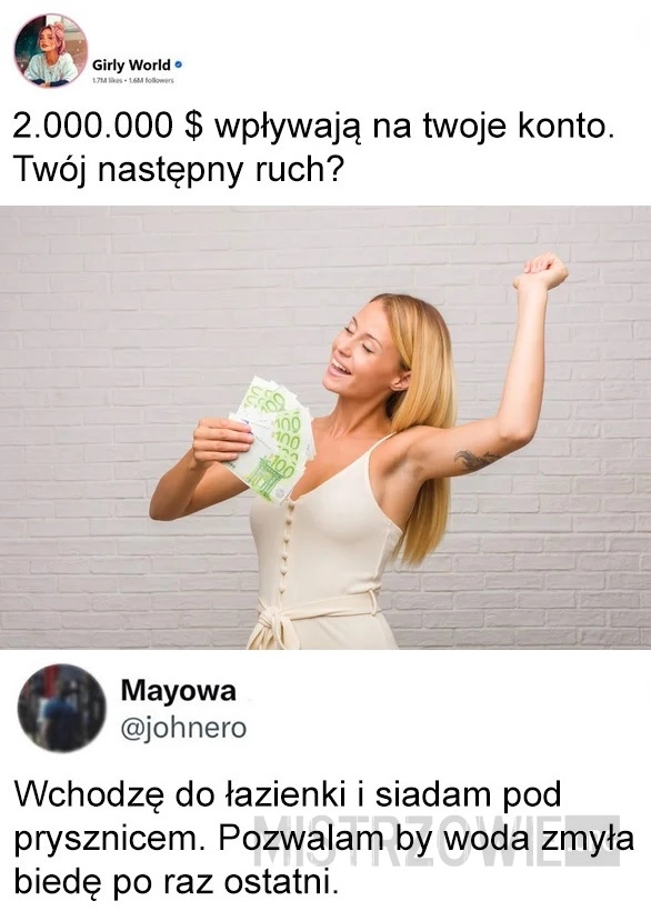 
    2 miliony dolarów