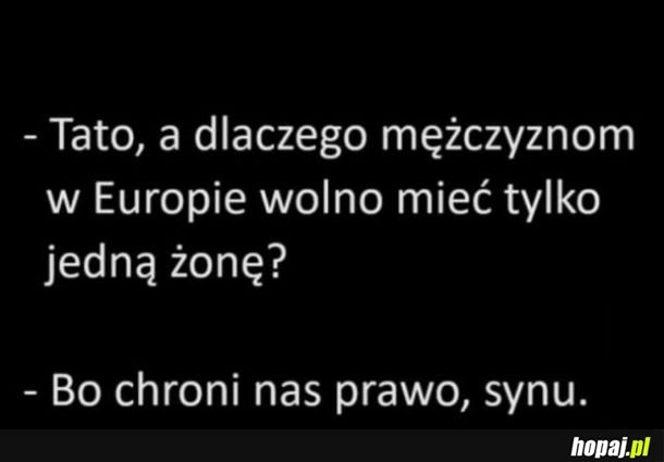 
    Tylko jedna żona