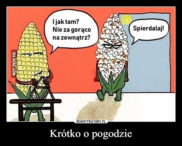 
    Krótko o pogodzie