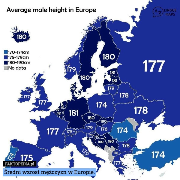 
    Średni wzrost mężczyzn w Europie.