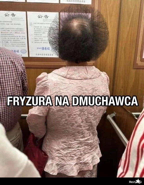 
    Fryzura na dmuchawca 