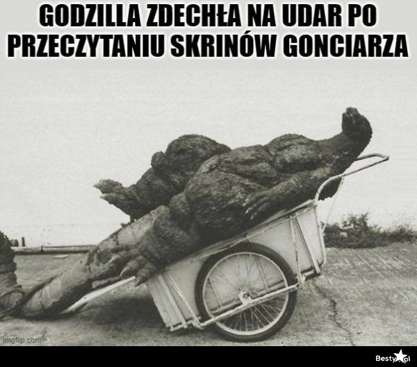 
    Nawet Godzilla poległa 