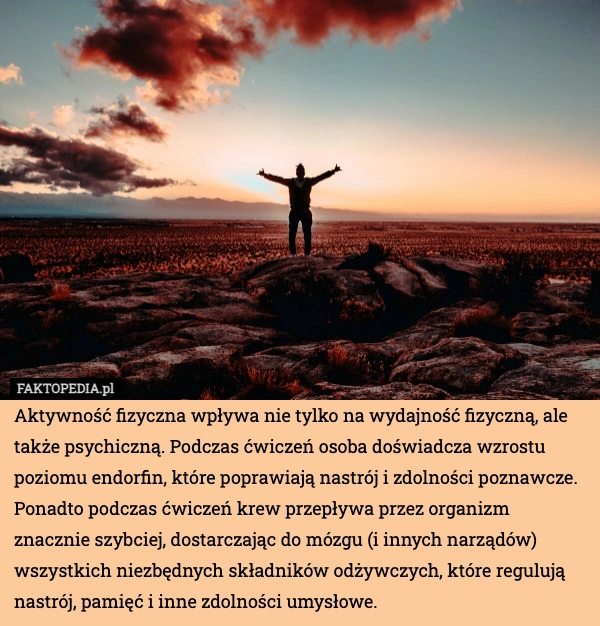 
    Aktywność fizyczna wpływa nie tylko na wydajność fizyczną, ale także psychiczną.