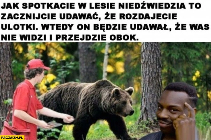 
    Jak spotkacie w lesie niedźwiedzia to zacznijcie udawać, że rozdajecie ulotki wtedy, on będzie udawał, że was nie widzi i przejdzie obok porada