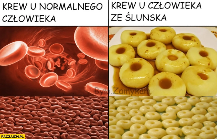 Krew u normalnego człowieka krew u człowieka ze Śląska kluski Śląskie