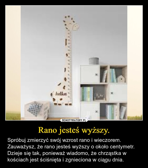 
    Rano jesteś wyższy.