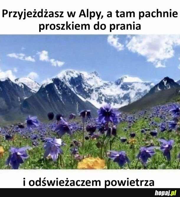 
    Pachnie jak w domu