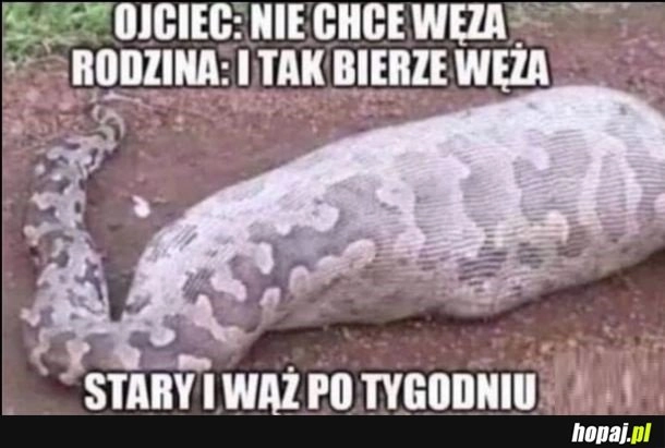 
    Kolejny mem o starym i zwierzaku